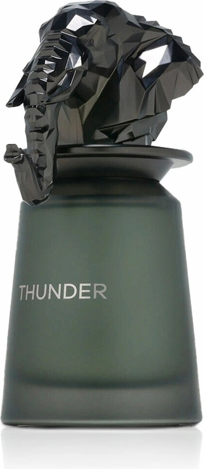 French Avenue Thunder EDP 100 ml nuotrauka