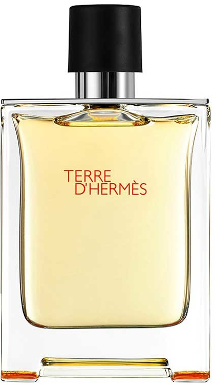 Hermes Terre D Hermes EDP 75 ml nuotrauka