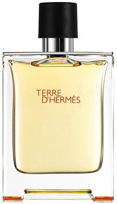 HERMES Terre d’Hermes EDT 100 ml nuotrauka