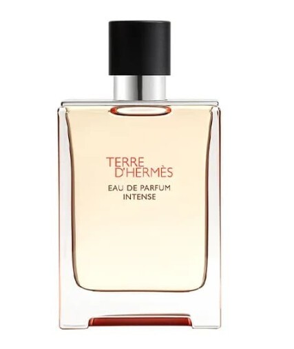 Hermes Terre D Hermes Intense EDP 50 ml nuotrauka