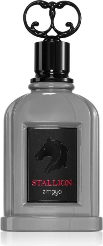 Zimaya Stallion EDP 100 ml nuotrauka