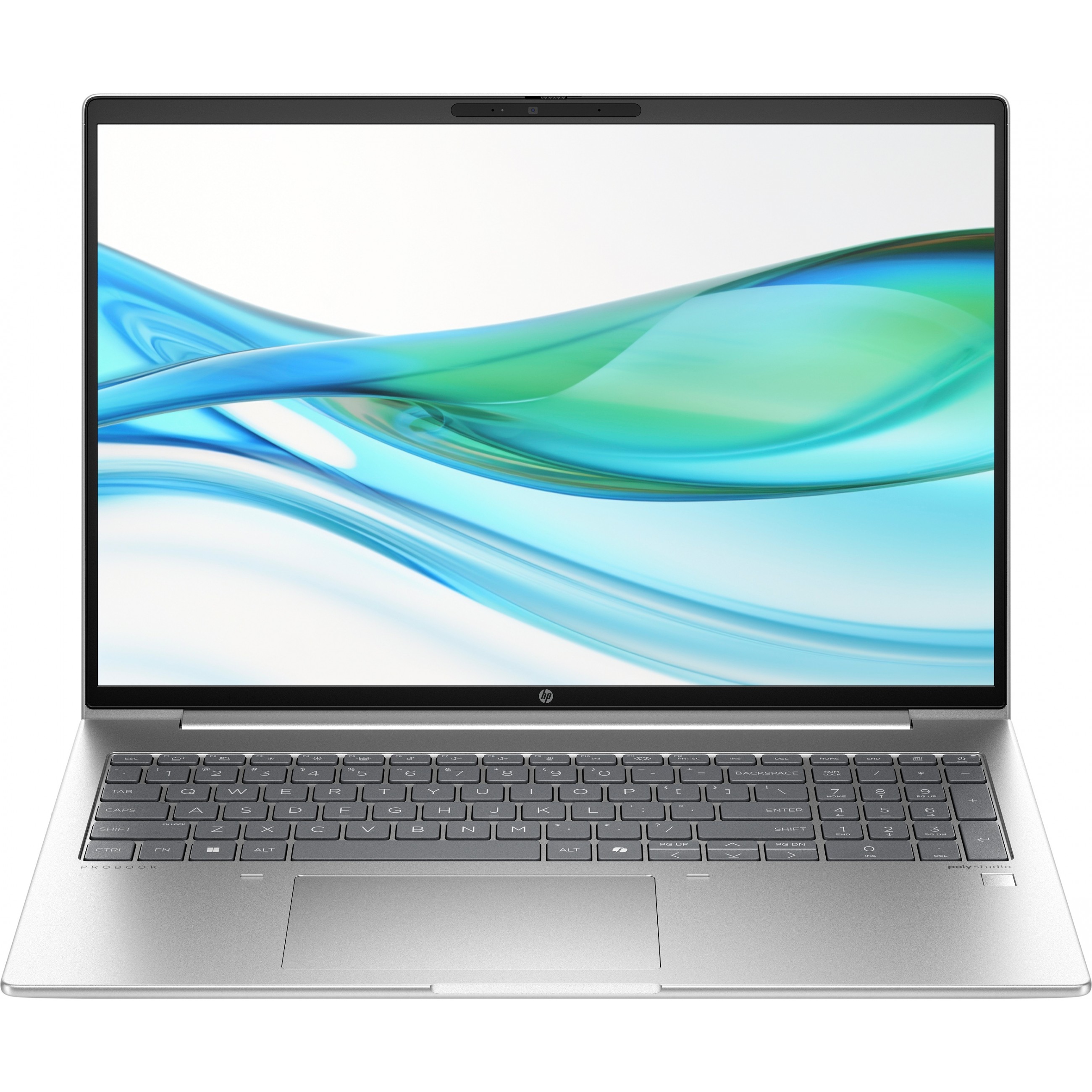 HP ProBook 460 G11 nuotrauka
