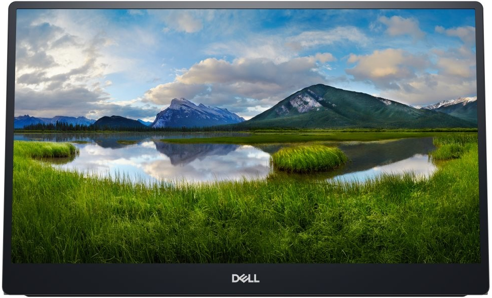 Dell P1424H nuotrauka