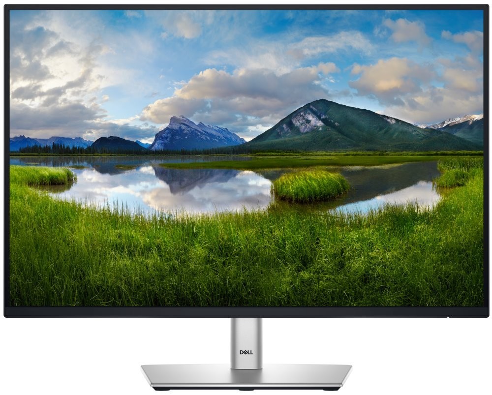 Dell P2425E nuotrauka