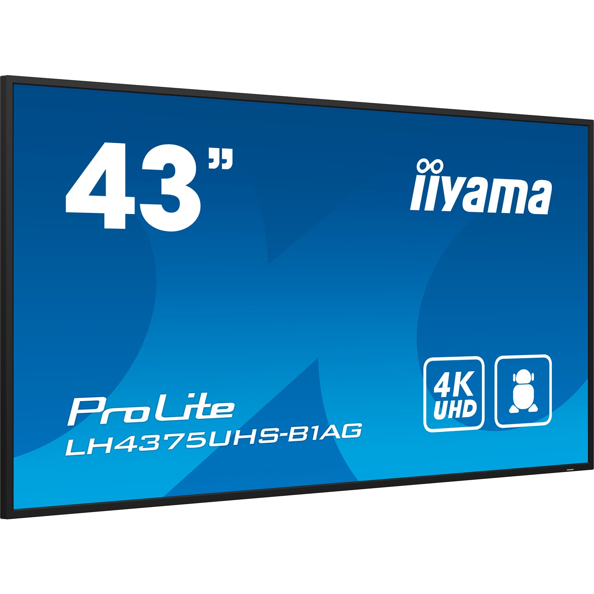 Iiyama ProLite LE4341S-B2 nuotrauka