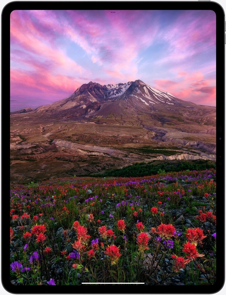 Apple iPad Pro 11 2024 M4 1TB nuotrauka
