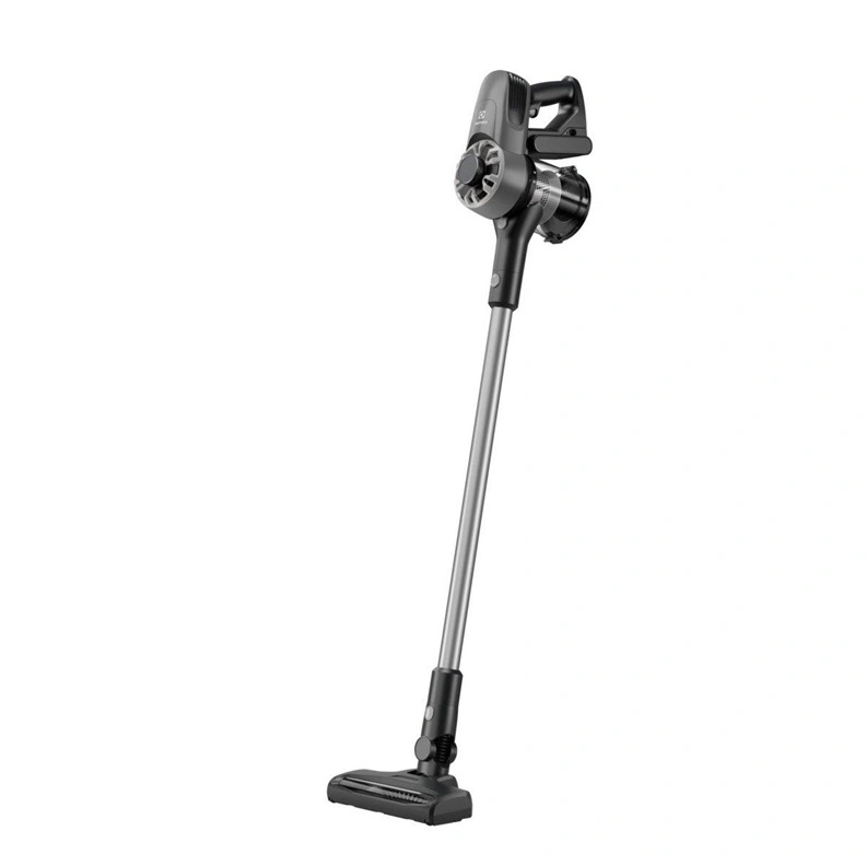 Electrolux EP31CB21TG nuotrauka