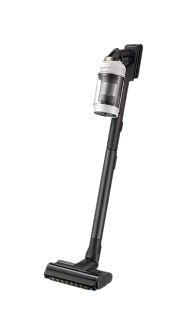 Samsung VS20B95823W nuotrauka