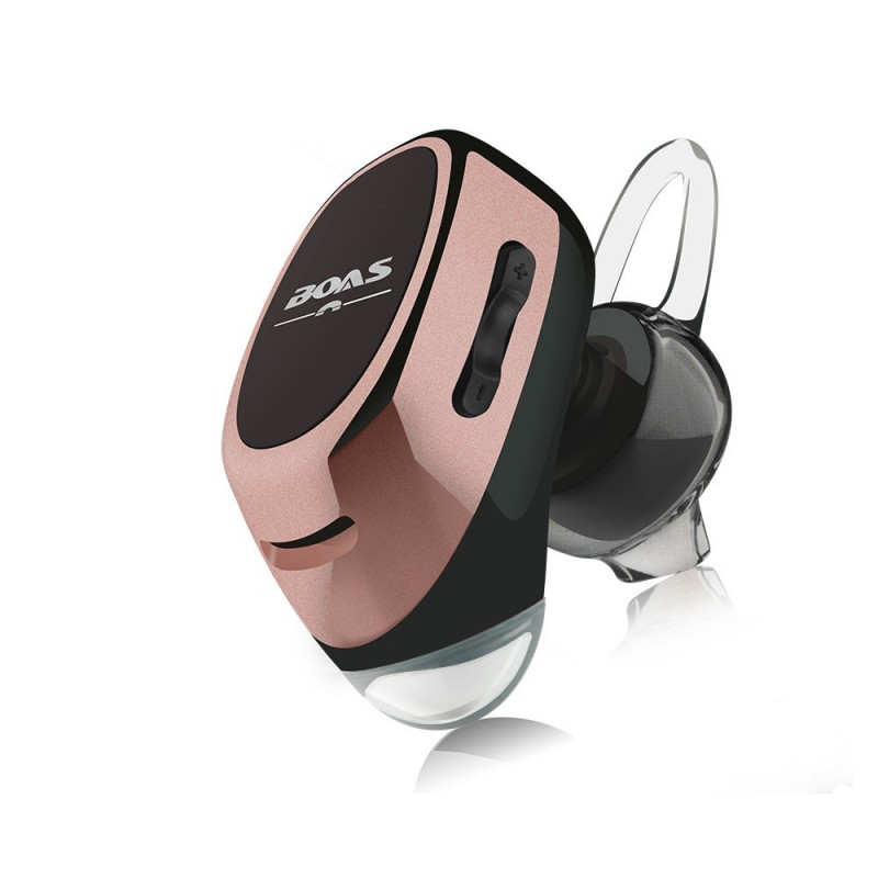 Boas LC-100 nuotrauka