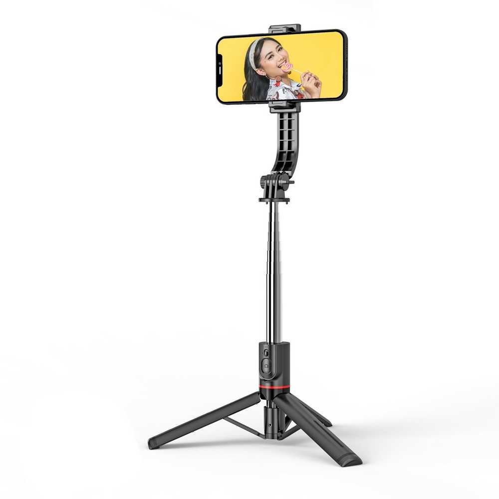 Asmenukių lazda Awei X50, juoda nuotrauka