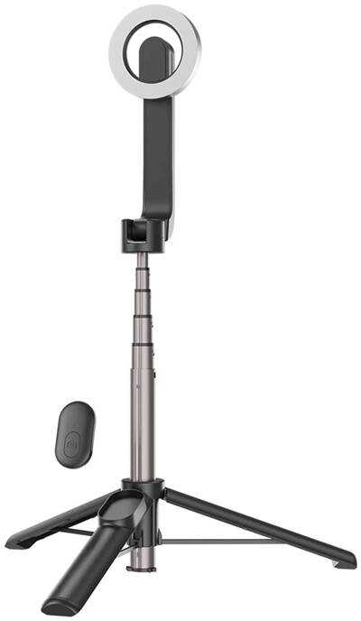 Asmenukių lazda Telesin magnetinė nuotrauka