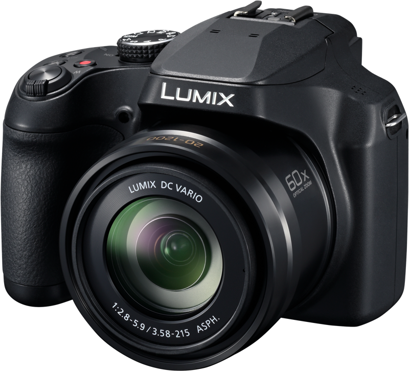 Fotoaparatas Panasonic Lumix FZ82D nuotrauka