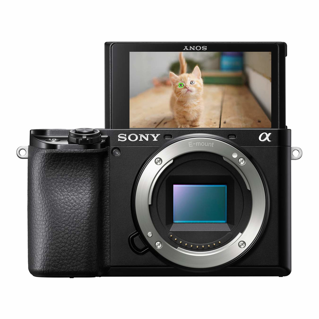 Fotoaparatas Sony Alpha A6100 nuotrauka