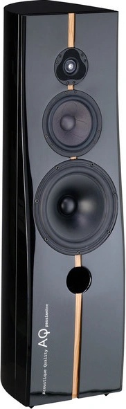 Acoustique Quality Passion nuotrauka