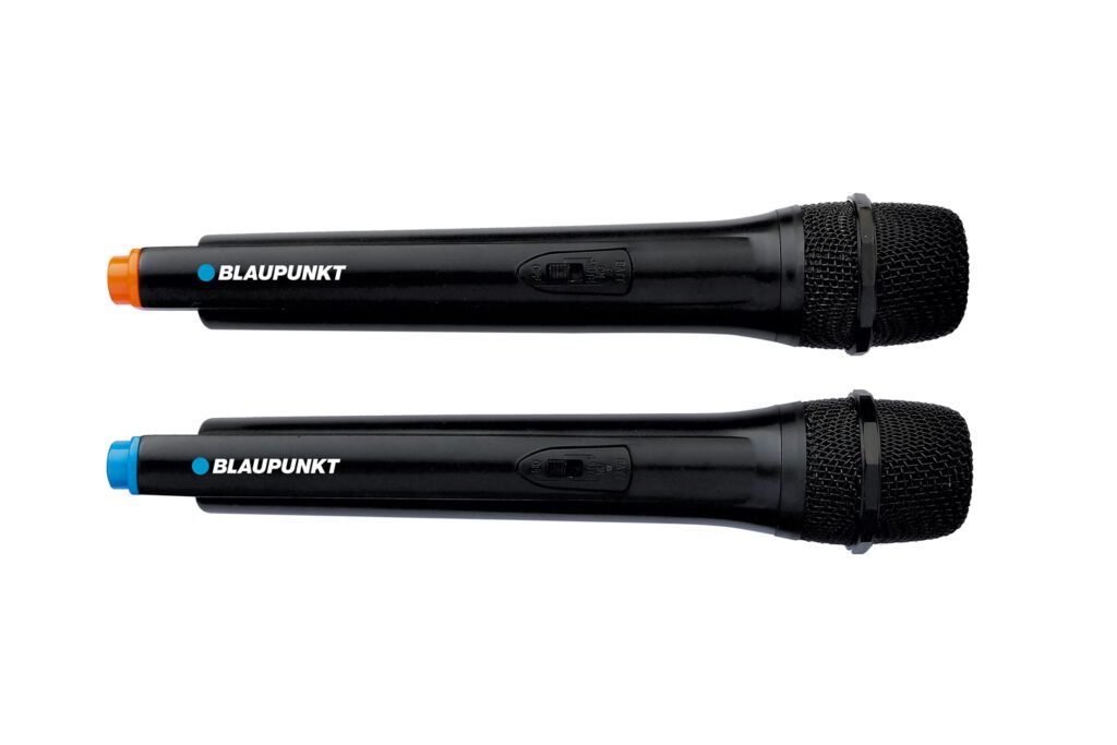 Blaupunkt PB12DB nuotrauka