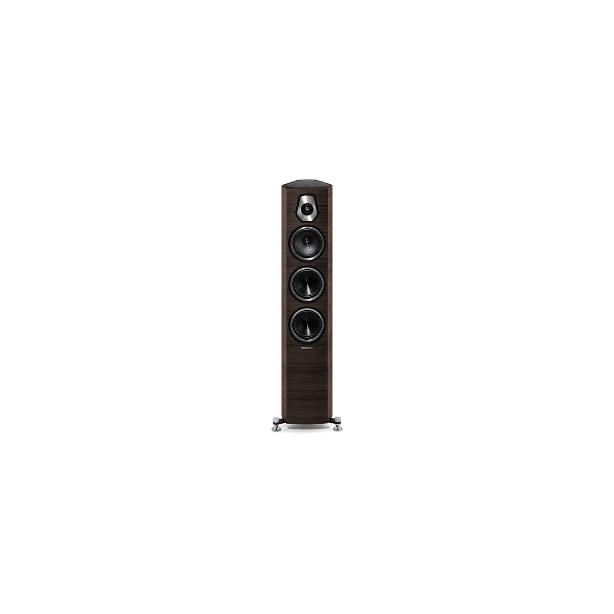 Sonus Faber SONETTO III nuotrauka