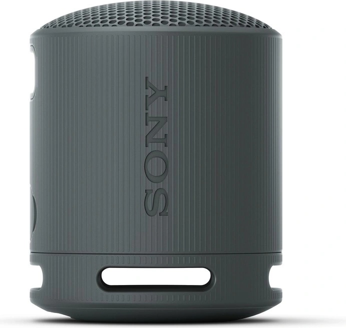 Sony SRS-XB100 nuotrauka