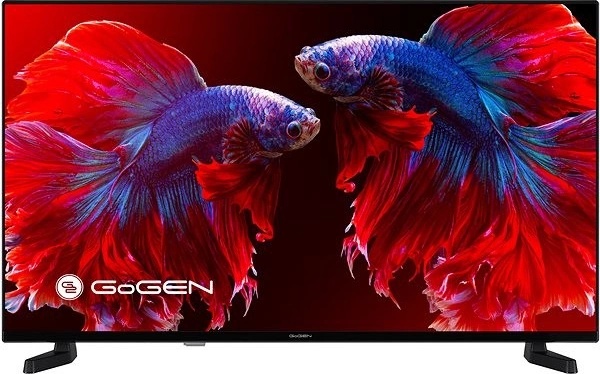 Televizorius GoGEN TVF 40P420T nuotrauka