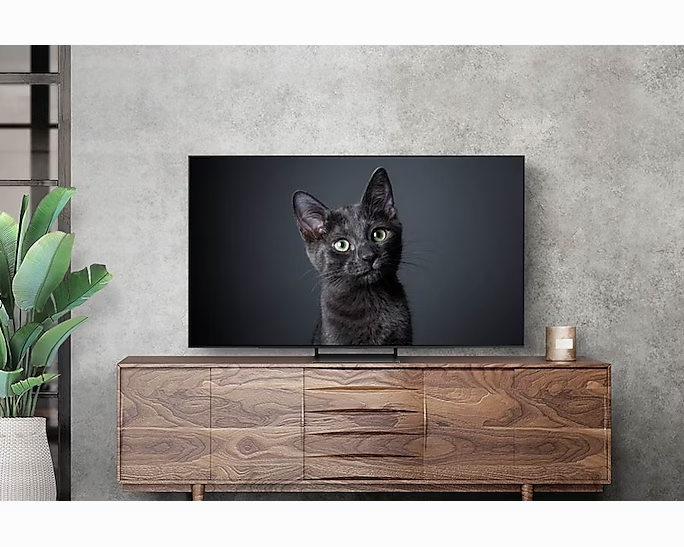 Televizorius Samsung QE55S90CAT nuotrauka