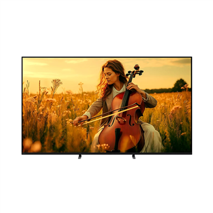 Televizorius Sony K-55XR55B nuotrauka